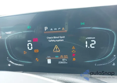 2024 Kia Telluride Ex X-Line z USA, uszkodzony, nr VIN 5XYP3DGCXRG540444